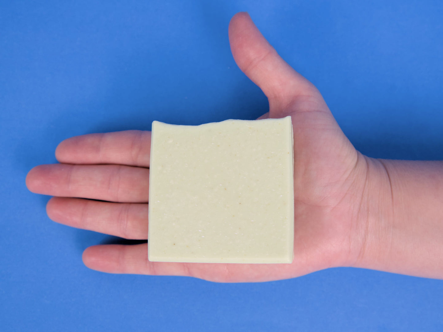 Beef Tallow Bar Soap